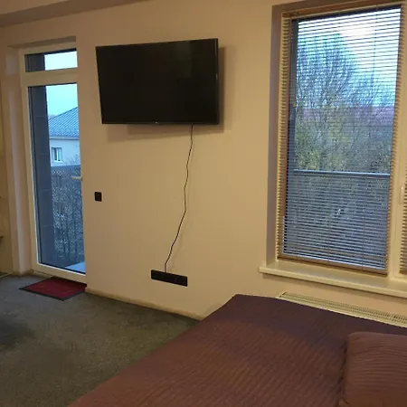 Svitrigailos-in-center Apartment Wilna