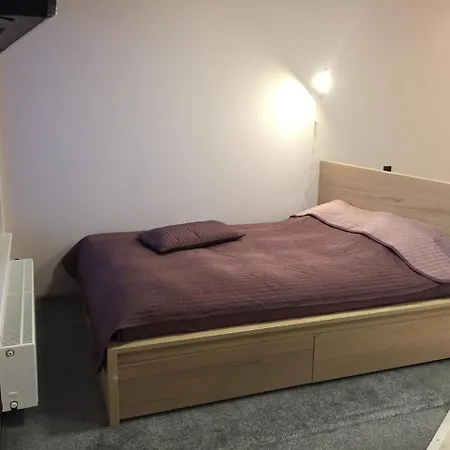 Apartment Svitrigailos-in-center