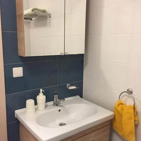 Apartment Svitrigailos-in-center *
